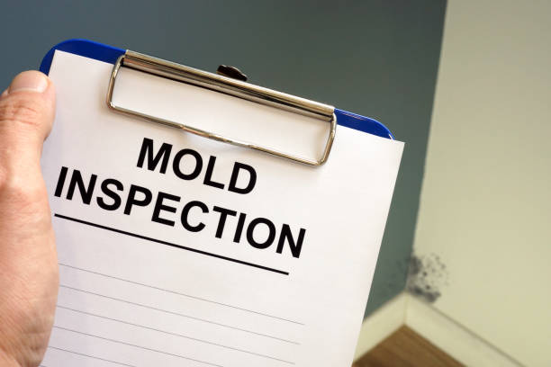 Best Industrial Mold Remediation  in Splendora, TX